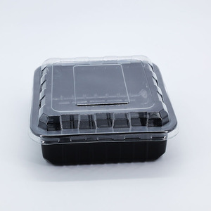 Contenitore per Pranzo in Plastica PET di Grado Alimentare, Salvadanaio Rettangolare Personalizzabile, Scatola di Conservazione Resistente alle Basse Temperature con Logo - Product Image 2