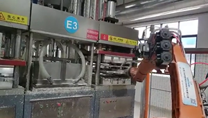Macchina Automatica ad Alta Velocità per la Produzione di Piatti di Carta con Braccio Robotico a 6 Assi Controllato da PLC e Componenti Premium - Product Image 2