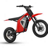 Moto électrique tout-terrain haute performance ANYLAND, moto électrique ultra puissante, moto tout-terrain pour adultes, moto électrique enduro Wish01S IN10 EM5