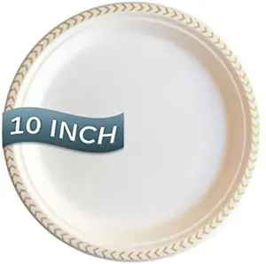 No Added Pfas 100% Customized Sustainable Eco Friendly Bagasse Disposable Food Packaging 10 Inch Plates
