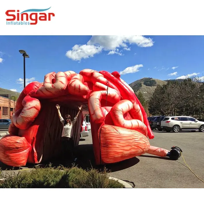 विशाल inflatable अंग, inflatable मस्तिष्क, inflatable मूर्तिकला