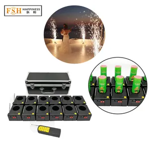 Professional Audio 12 Group With Multi-Function Indoor Remote Stage Fountains Firework Wireless Firing System