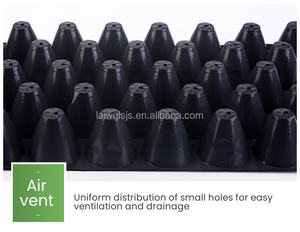 Bandejas de Plástico de Poliestireno Grueso Reutilizables Green <span class=keywords><strong>Sen</strong></span> de 72, 128 y 200 Celdas para Semillas de Vegetales y Flores - Product Image 4