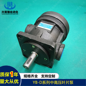 Xingchenrui Yb D Series Medium High Pressure Vane <b>Pump</b> Ybd20 Ybd25 Ybd32 Ybd31.5 Ybd40 For Test <b>Pump</b> - Product Image 1