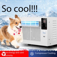 Climatiseur portable populaire pour animaux de compagnie en ABS avec compresseur, idéal pour les niches de chiens, cages à chats et chinchillas