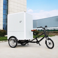 Vélo électrique à 3 roues de 850W-1000W avec boîte de livraison arrière, mini-vélo utilitaire, quad cargo, vélo électrique de livraison – Fournisseur direct usine