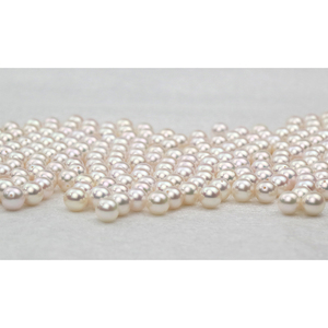 Perles de culture d'Akoya japonaises de haute qualité en gros, 3,5-9 mm, demi-percées, perles en vrac de qualité supérieure pour bijoux - Product Image 1