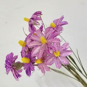 Fleurs d'Althéa séchées en gros, fleurs d'hibiscus séchées naturelles pour la décoration intérieure - Product Image 3