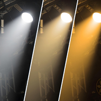 300w Warmweiß und RGB Vollfarb fokus Cob Light Wasserdichtes LED-Zoom-Wasch profil Spotlight Fresnel Stage Light Outdoor