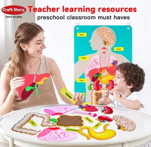 Craftstory Juguetes Educativos Sensoriales para Niños Pequeños, Tablero <span class=keywords><strong>de</strong></span> Fieltro para Enseñar las Partes del Cuerpo, Manualidades <span class=keywords><strong>de</strong></span> Madera, 5-7 Años, Suministros para Guardería - Product Image 3