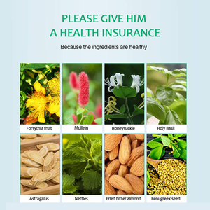 OEM/Private Label Lotus Longreinigende Kruidenthee Op Maat Geschenkverpakking met 30 Sachets voor Ademhalingsgezondheid & Bedrijfsgeschenken - Product Image 2