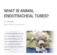 Prix d'usine le moins cher Oral Nasal Animal Pet Vet Chien Chat Cheval Trachéale Intubation Trachée Renforcée Canule Trachéale Cathéter