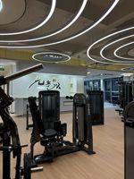 Machine d'extension triceps à charge par poulie de haute qualité pour l'entraînement de force et la musculation