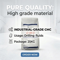 Fábrica profesional Grado industrial Cas 9004-32-4 Cmc Polvo de carboximetilcelulosa sódica Polvo CMC