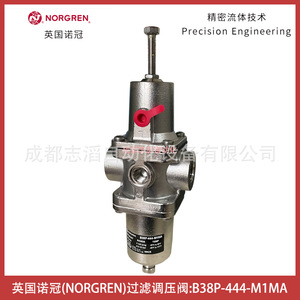 วาล์วลดแรงดันนอร์เกรน B38P-444-M1MA 1/2 นิ้ว สำหรับแก๊สอุณหภูมิต่ำแบบนิวเมติก - Product Image 1
