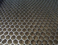 Panneau en nid d'abeille en aluminium anodisé de luxe haut de gamme pour cabines d'ascenseur VIP et intérieurs de yacht