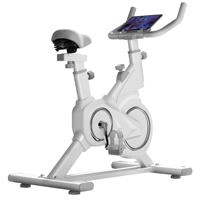 Vélo d'exercice statique d'intérieur, vélos de spinning pour l'entraînement physique, vélo de spinning avec volant d'inertie de 4 kg à vendre