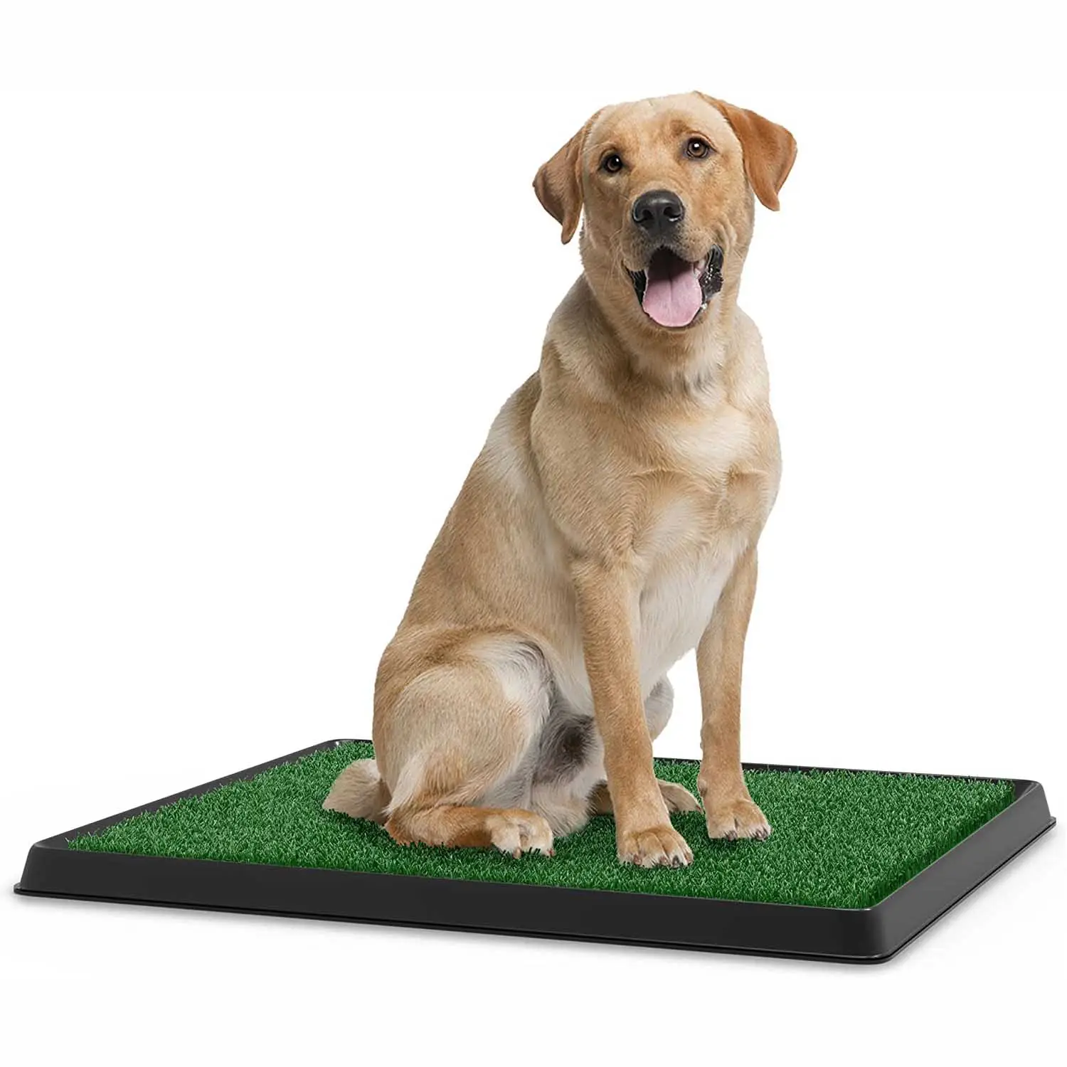 Indoor Three Layers Removable Portable Artificial Grass Puppy Dogs Training Pad with Tray