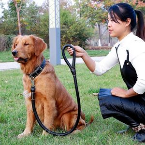 Ensemble collier et laisse pour chien personnalisé Colliers d'entraînement de luxe pour animaux de compagnie Laisses laisses en cuir Ensemble collier et laisse pour chien résistant à l'usure - Product Image 4