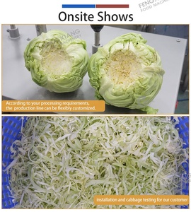 Fengxiang Commercial 1t/h Cabbage Corer <b>Shredder</b> Washer Dewatering Line SUS304 Slaw Production Equipment for <b>Vegetable</b> Factory - Product Image 4