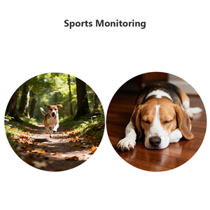 Android <strong>Tracking</strong> <strong>Device</strong> Localizador Para Perros Pet Tracker Gps Sim Card Dog Gps Collar Micro Gps Locator for <strong>Sleep</strong> Tracker - Product Image 3