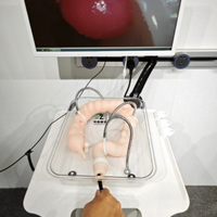 Modèle de formation en coloscopie des sciences médicales pour l'enseignement du modèle d'organe colonique à simulation souple