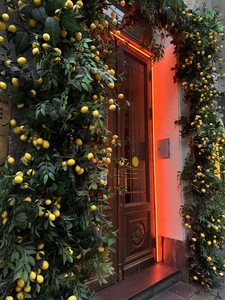 Vigne artificielle de citron en promotion, style italien, pour décoration de plafond d'hôtel - Product Image 5