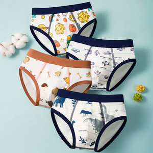 Calzoncillos para Niños de Algodón/Spandex, Construcción de Cuatro Agujas y <span class=keywords><strong>Seis</strong></span> Hilos, Etiqueta en el Cuello, Venta al por Mayor para Niños Mayores de Talla Mediana - Product Image 1