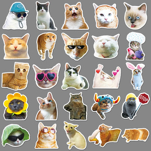 Interessante cartone animato impermeabile gatto <span class=keywords><strong>emoji</strong></span> decorazione adesivo materiale PVC stampa Offset all'ingrosso MOQ 100 pz - Product Image 4