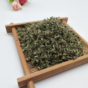 Extrato Herbal de Folha de Mullein Natural Seco de Alta Qualidade Grau Alimentício 25kg Tambor e Embalagem em Recipiente Plástico - Product Image 3