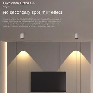 Venta caliente COB Surface Downlight LED para Home Office 7W 10W 12W Patrón fijo ajustable Instalación en interiores Hoteles en superficie - Product Image 3