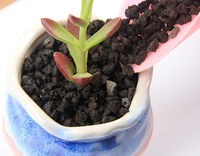Pierres de lave noires naturelles, pierre ponce pour l'horticulture et les plantes succulentes