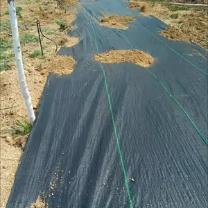 Màu đen và bạc nông nghiệp Nhựa Polyethylene mulch tấm, che phủ mặt đất phản chiếu mulch phim, nhà máy mulch phim