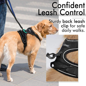 Arnés y Correa para Perro de Nailon Clásico, Personalizado OEM, de Alta Calidad, Transpirable, con Acolchado Suave, Sin Tirones, para Perros Medianos y Grandes - Product Image 4