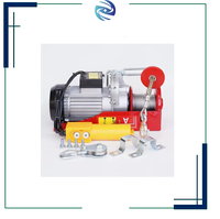 Palans électriques miniatures en excellent état, capacité de charge de 0,2T à 1,5T avec câble métallique - 220V, idéaux pour les entrepôts, les garages