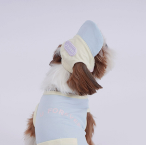 <strong>Dog</strong> Baseball <strong>Cap</strong> with Ear Cutouts for Golden Retrievers and Labradors Pet <strong>Flat</strong> Brim Hat Wholesale - Product Image 4