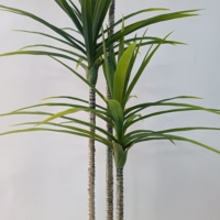 Arbres verts artificiels pour jardin intérieur, décorations d'Halloween style bonsaï avec pot banane voyageur, plantes d'intérieur vertes