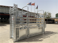 Chute de retenue de bétail vétérinaire robuste avec conception anti-coup de pied et porte de tête bovine réglable pour ranchs
