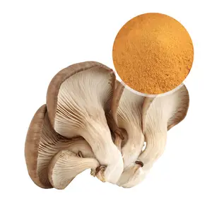 Pleurotus ostreatus Extract Organic Oyster Mushroom Powder