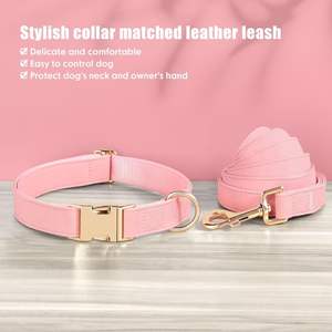 PET ARTIST Soft PU Hunde halsband & Leine Set für kleine Hunde-Stylish 5ft Pink, Schnell verschluss, Größe S (9-14 ") - Product Image 3