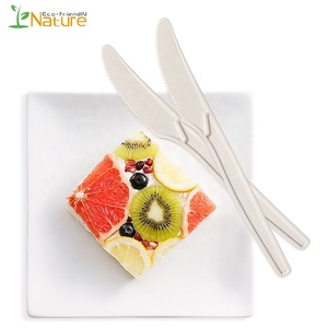 Bioplastique Écologique 8 Pouces Couverts D'amidon De Maïs Couteau pour le Gâteau - Product Image 4