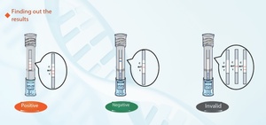 Kit de Prueba Rápida de Tuberculosis (TB) de Alta Sensibilidad, Detección de Ácido Nucleico MTBC por RPA LFA, Resultados Rápidos en 10 Minutos - Product Image 4