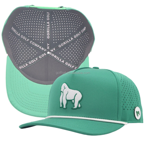 OEM Bulk Unisex 3D Embroidery Quick Dry Athletic Snapback <b>Caps</b> Custom Baseball <b>Caps</b> Laser Cut Performance Golf Hat - Product Image 1