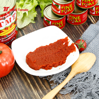 Concentré de tomates biologiques purée en conserve de haute qualité de marque OEM pâte de tomates en conserve