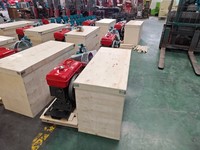 Máquina de Pellets a Gasolina, Sin Necesidad de Electricidad, para Aserrín de Madera, Paja, Hierba, Biomasa, para Alimento de Animales de Granja