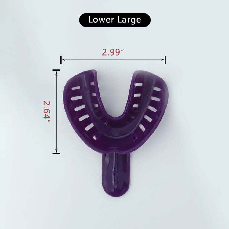 Lower-Large