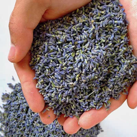 Kuncup Lavender Kering Alami Beraroma, Bunga Lavender Kering Aromatik untuk Sachet, Potpourri, Dekorasi Rumah & Aromaterapi