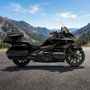 2023 para Gold Wing Tour DCT 250cc 40-60km/h - Product Image 3