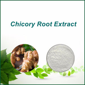 Complément alimentaire en vrac extrait de chicorée <span class=keywords><strong>inuline</strong></span> extrait de racine de chicorée poudre d'<span class=keywords><strong>inuline</strong></span> - Product Image 3