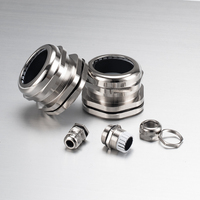 Presse-étoupe étanche en acier inoxydable IP68 304 connecteur anti-traction en laiton filetage métrique certifié ROHS pour l'industrie extérieure